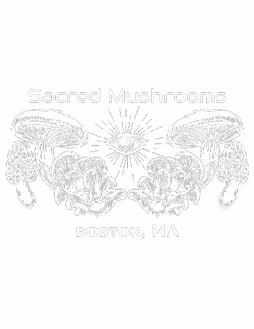 Sacred Mushrooms Boston logo with central eye