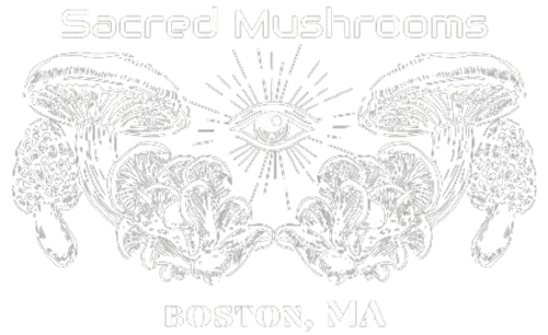 Black and white psychedelic mushroom art with an eye, promoting Boston, MA.